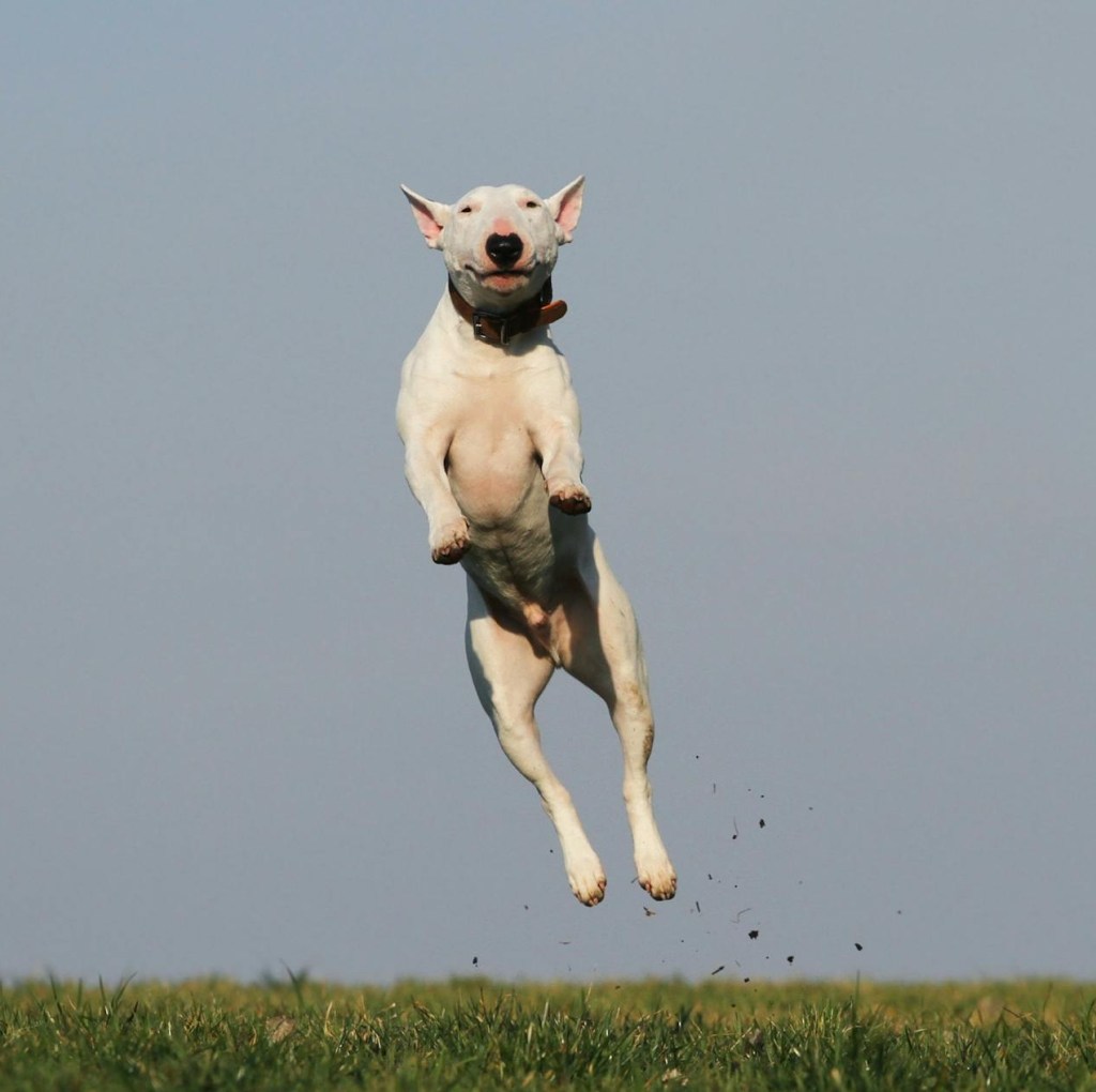 【ｵﾌｪﾝｽﾘﾊﾞｳﾝﾄﾞ】極意